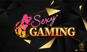 What is live casino Ae Sexy? Experience a realistic online casino